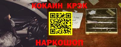 СК Новодвинск