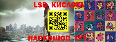 СК Новодвинск