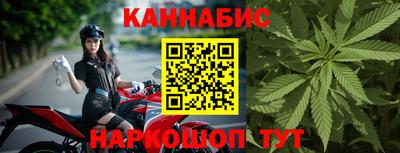 СК Новодвинск