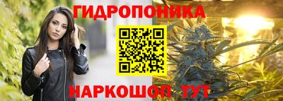 СК Новодвинск