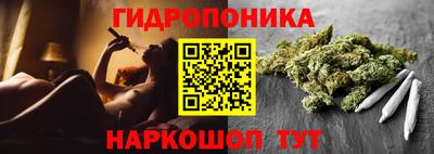 СК Новодвинск