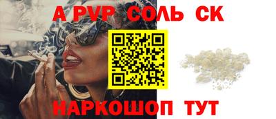 СК Новодвинск
