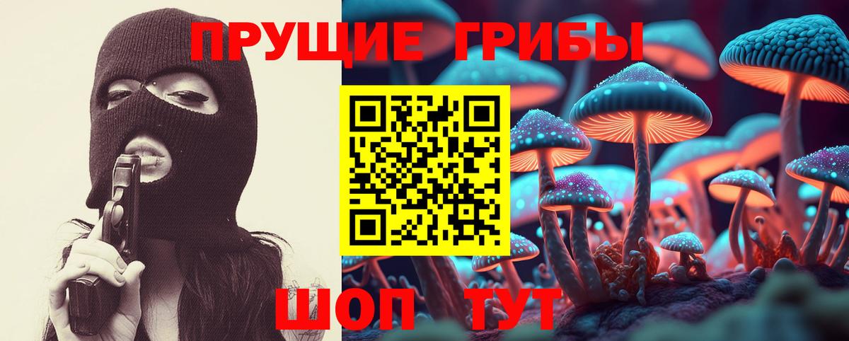 Галлюциногенные грибы Psilocybe Тимашёвск